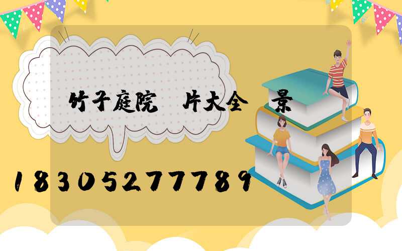 竹子庭院圖片大全 景觀